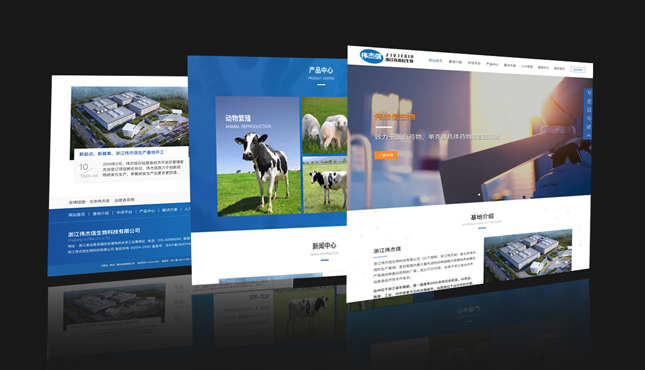 北京网站建设关于企业网站建设的解决方案